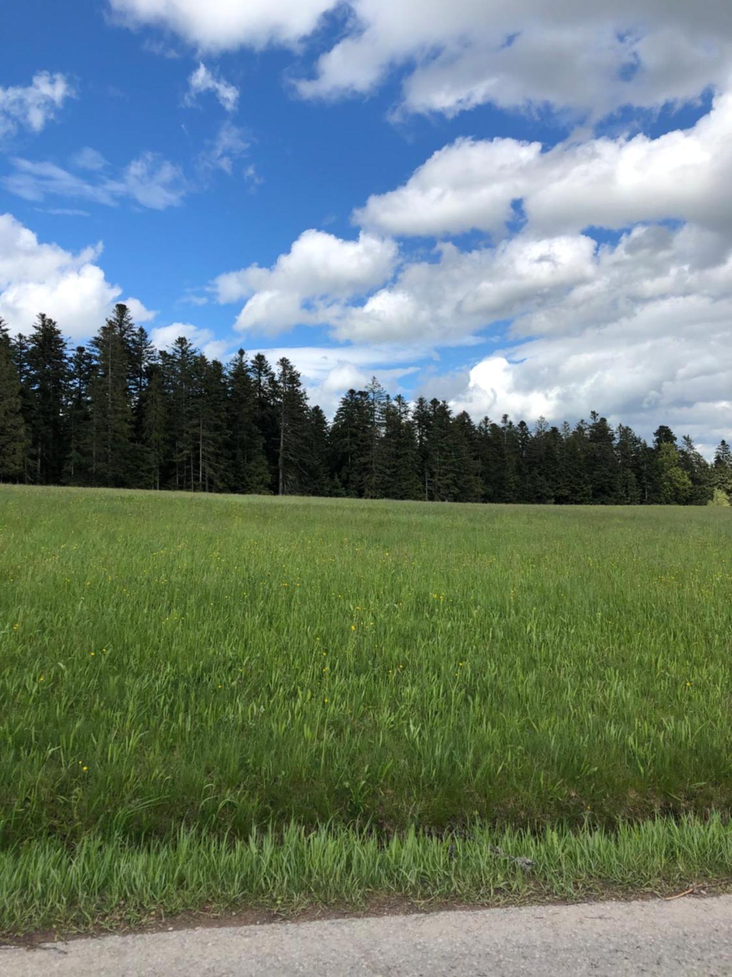 Solhof-Schoemberg Loßburg Esterno foto
