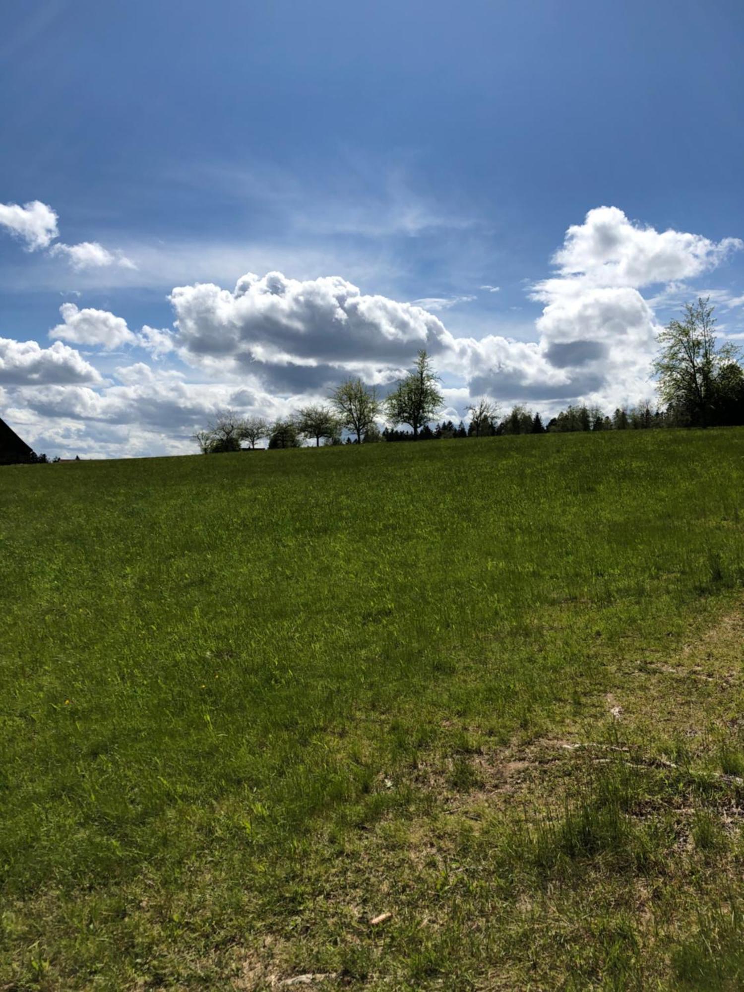 Solhof-Schoemberg Loßburg Esterno foto
