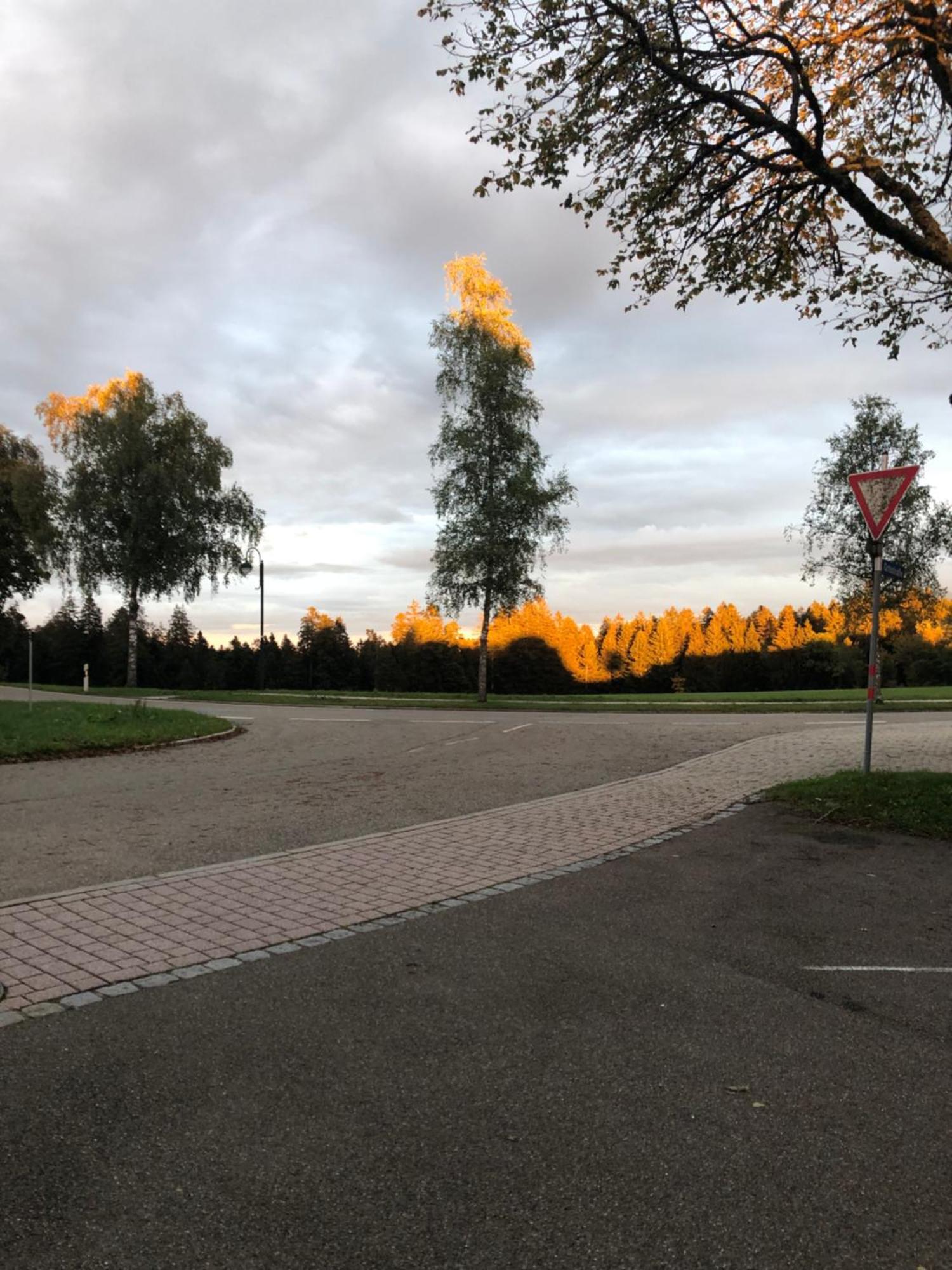 Solhof-Schoemberg Loßburg Esterno foto